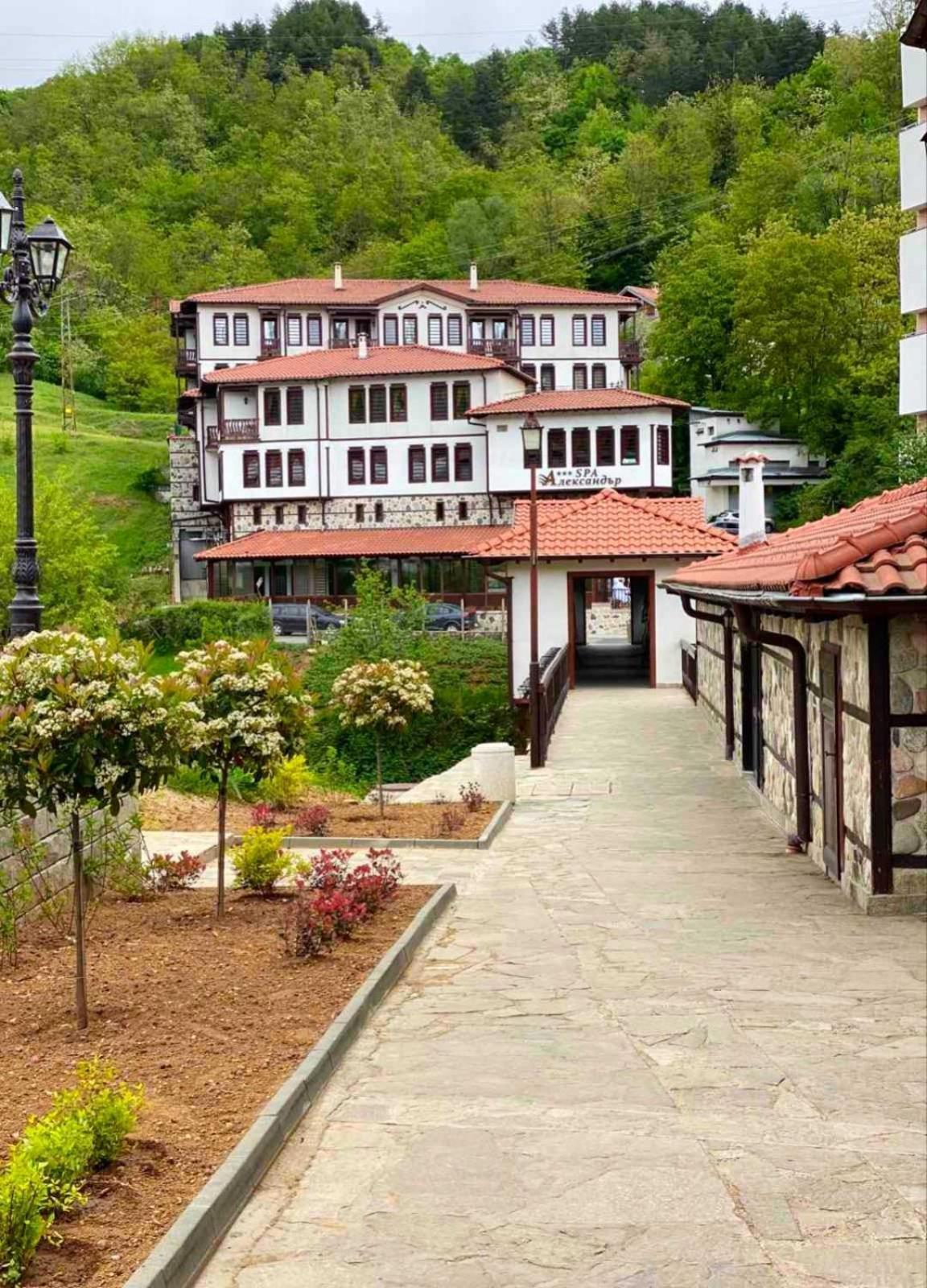 Hotel Complex Aleksandar 3*